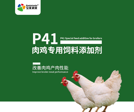 P41 Special feed additive for broilers