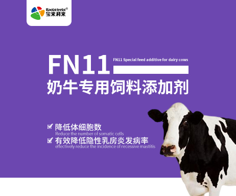 FN11 Special feed additives for dairy cows