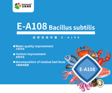 Bacillus subtilis E-A108