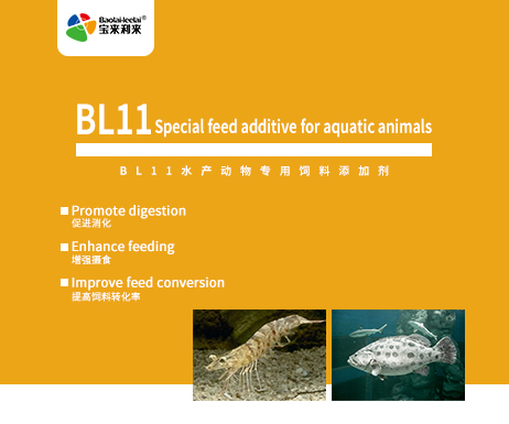 BL11 Special feed additive for aquatic animals