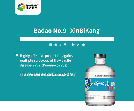 Badao No.9   XinBiKang