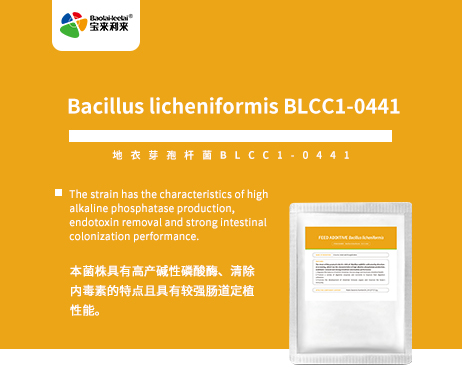 Bacillus licheniform