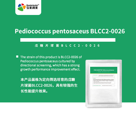 Pediococcus pentosaceus BLCC2-0026