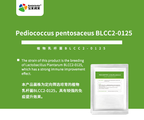 Lactobacillus plantarum BLCC2-0125